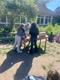 Bild 26.05.25 um 14.20