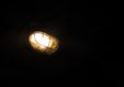 Lale_Lawin_220525_1