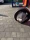 rollen1