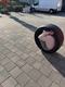 rollen2