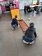 shuffleboard
